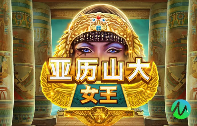 乖乖猪世界三无敌版